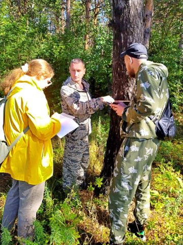 Занятие по программе «Отвод и таксация лесосек»