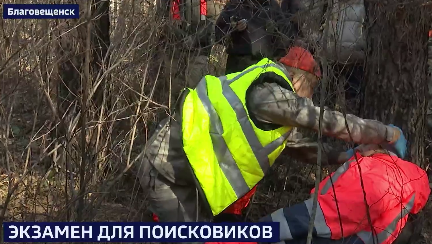 экзамен для поисковиков