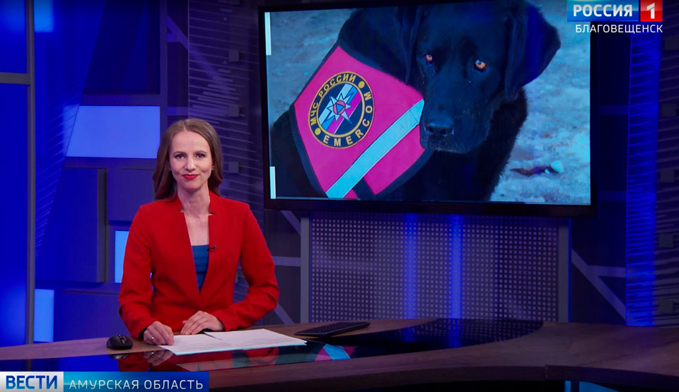 Кинологи УФСИН обучают волонтёров работе со служебными собаками