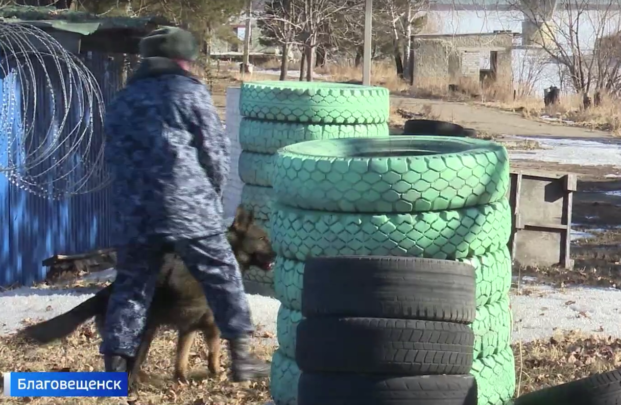Поиск пропавших людей